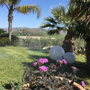 Il Colle del Rustico